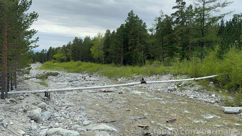 Barmales - Fansly - 10 Jun, 2024 9