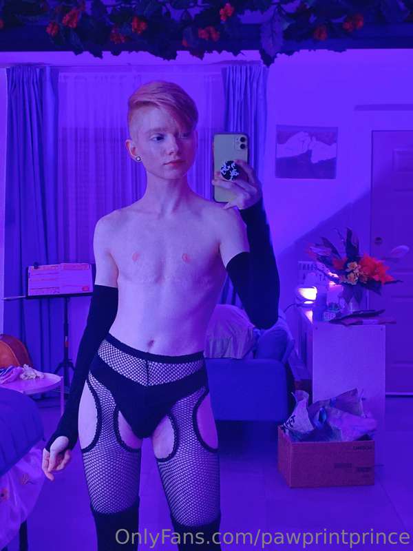 Pawprintprince - Onlyfans - 17 Dec, 2022 1