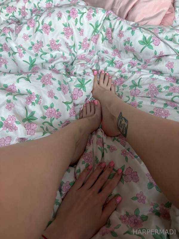 my foot boys are sooo spoiled!! 1