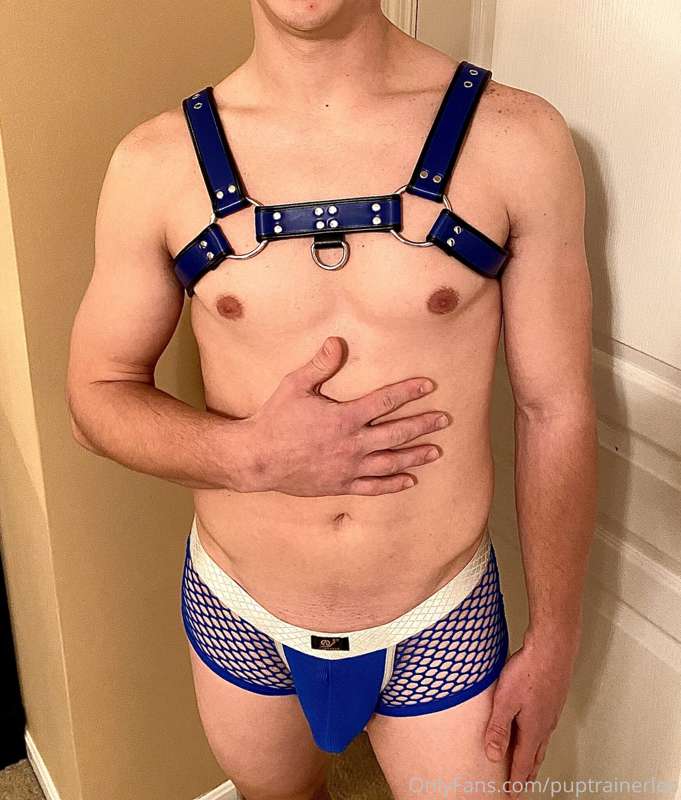Some Pics From Pup Photo Shoot @unknownvalue03 5
