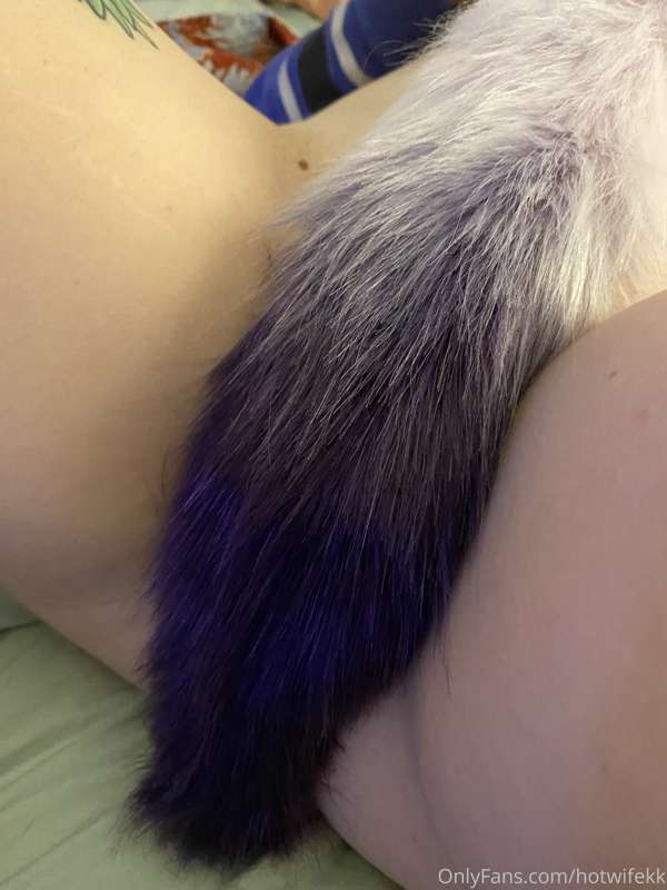Played with my new toy today! 😻 Thank you kind stranger 😽 4