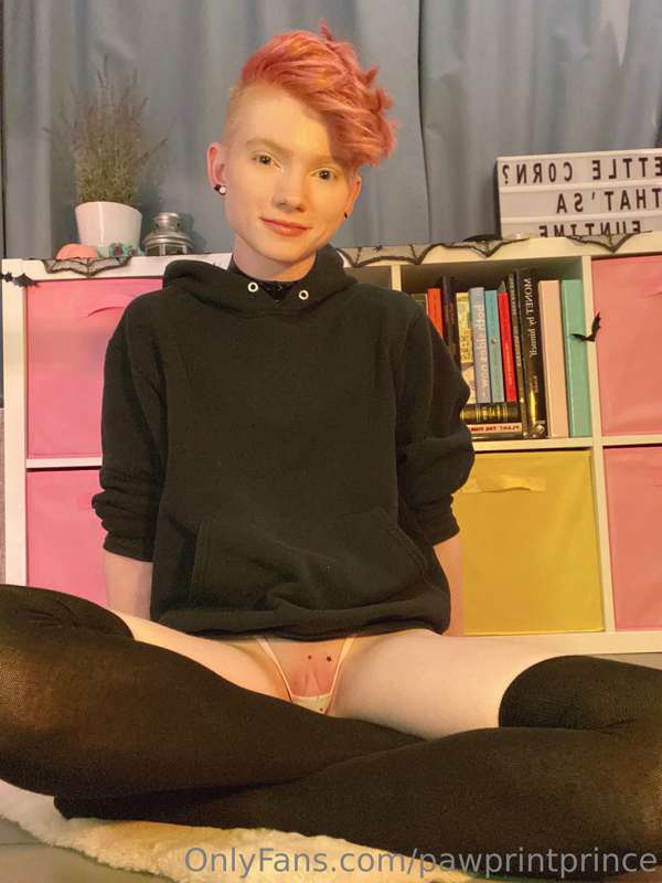 Pawprintprince - Onlyfans - 31 Oct, 2022 1