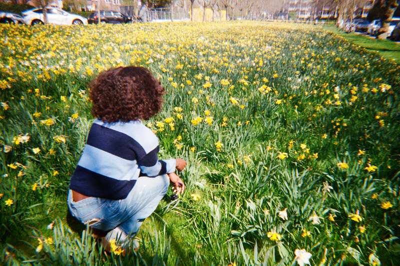 out here in the sun, just me, these flowers, and a body made..