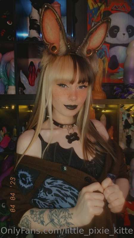 Took more bunny pics today ♡ 6