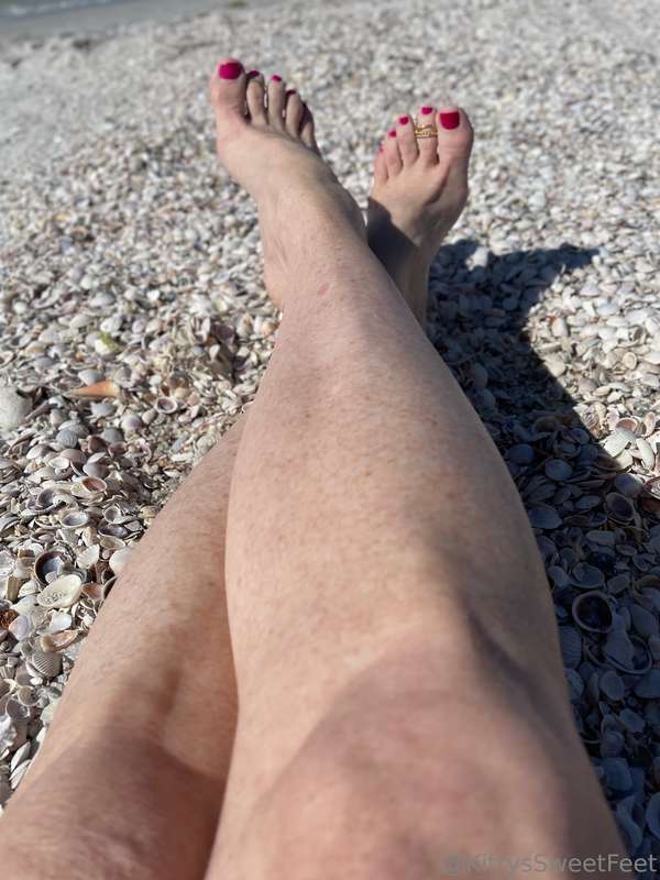 I love all these tiny little shells on the beach.  10