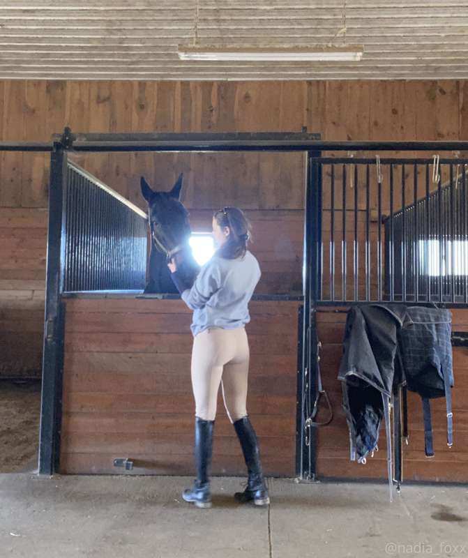 Monday’s sanity reviving activities 🐎