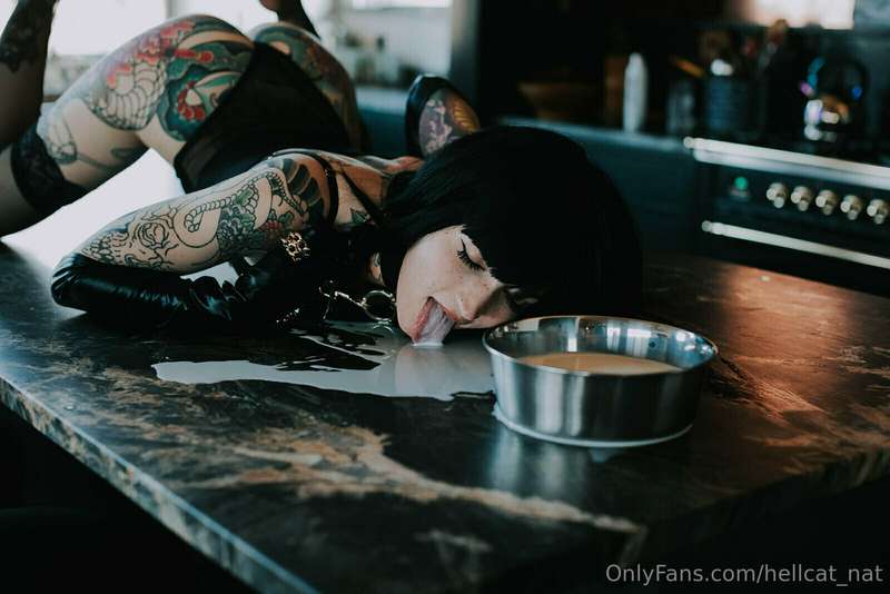 Dont Cry Over Spilled Milk 🐮 2
