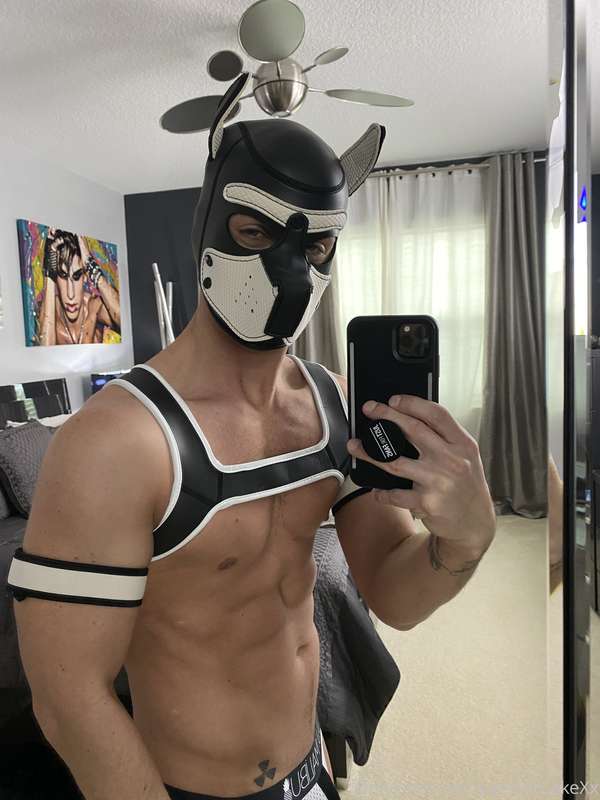Got my 1st #PupPlay gear for fucking guys who don’t want the.. 5