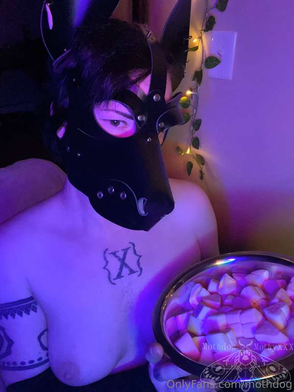 💖 titty tuesday! 💖
