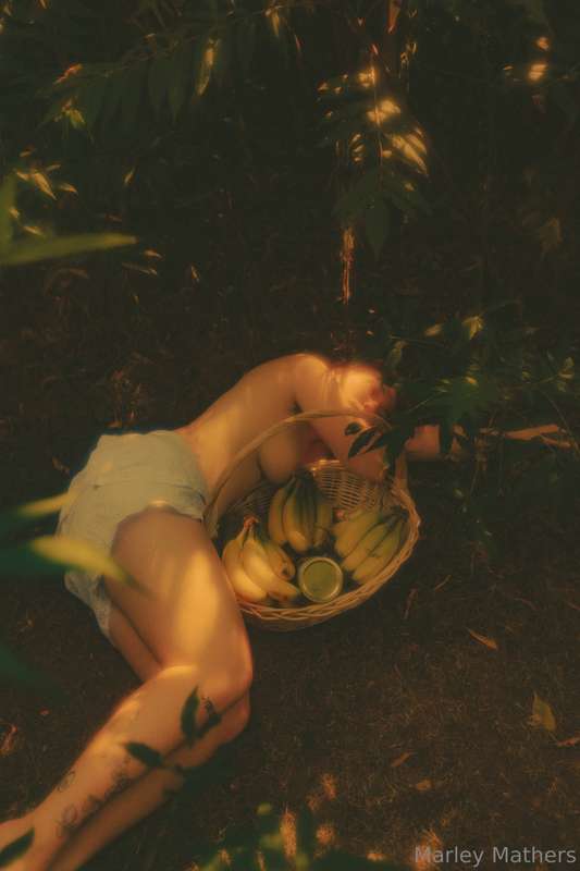 crawled into the forrest might stay here forever 
