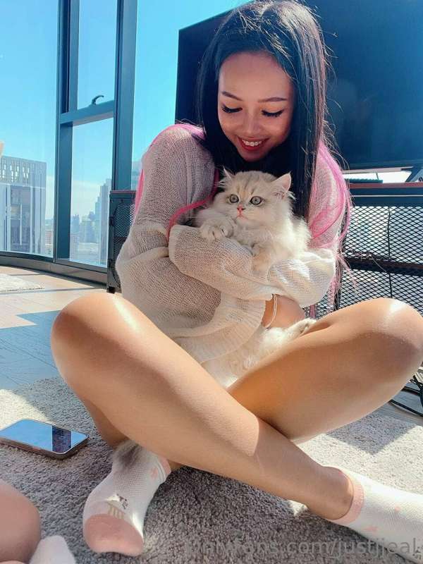 **Do you want to play with my 🐱?**