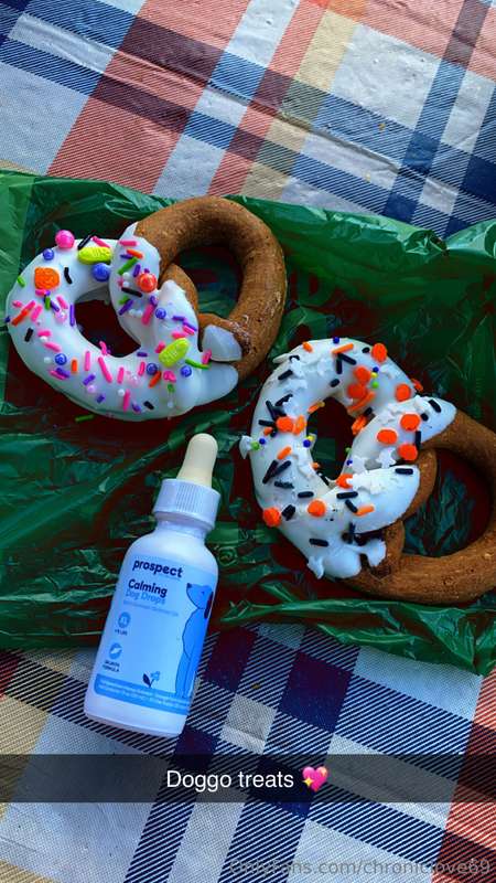 Look at these cute Halloween doggos treats 😻😻😻😻😻😻😻😻😻 soooo c..