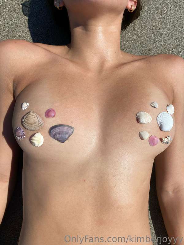 🐚
