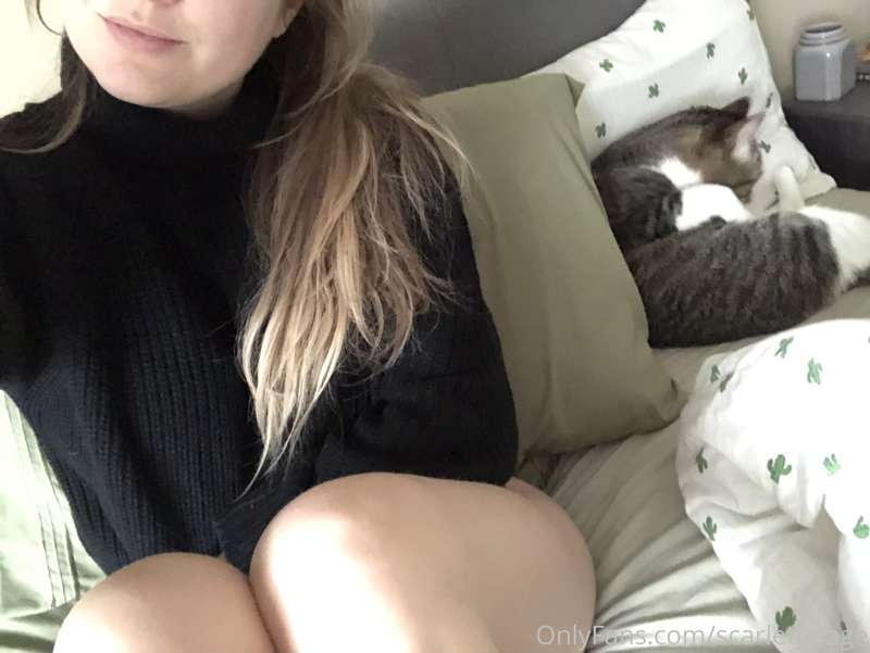 It’s sweater weather and Podrick and I are relaxing hard 🥰