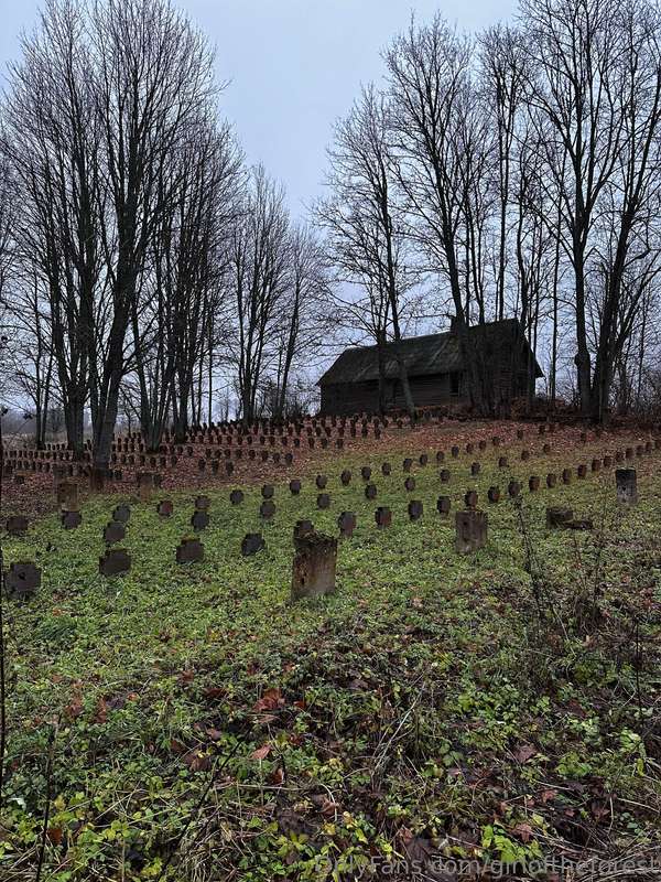Today my friend and I went searching for a German cemetery f.. 11