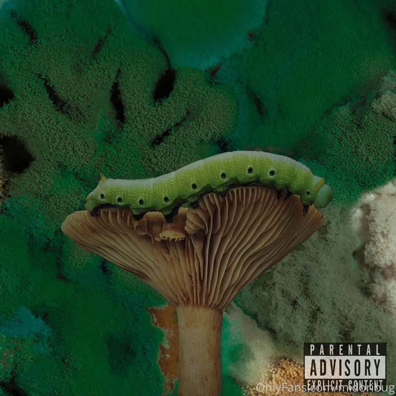 gm :*) my beat tape khlorophyll drops today @ 12 on bandcamp..