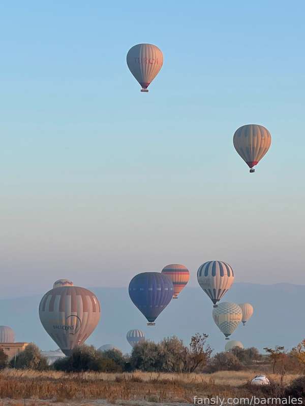 Barmales - Fansly - 03 Dec, 2022 13