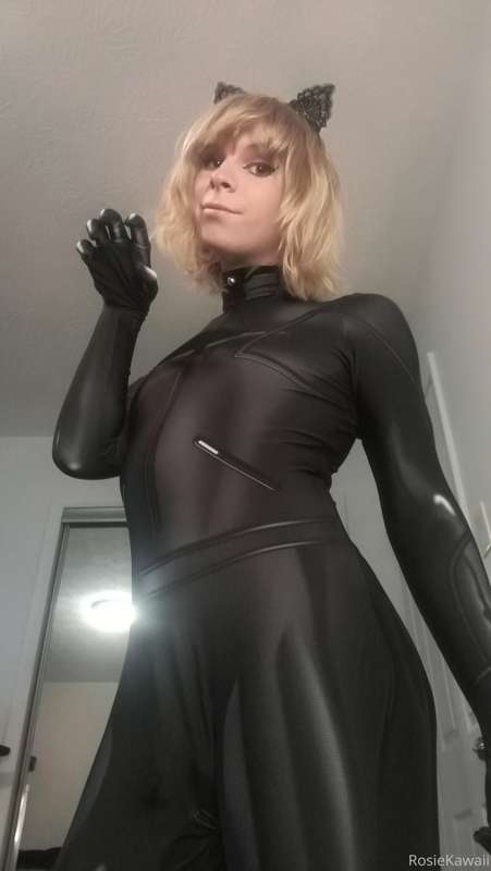 cat noir set 1/4 x :3 22