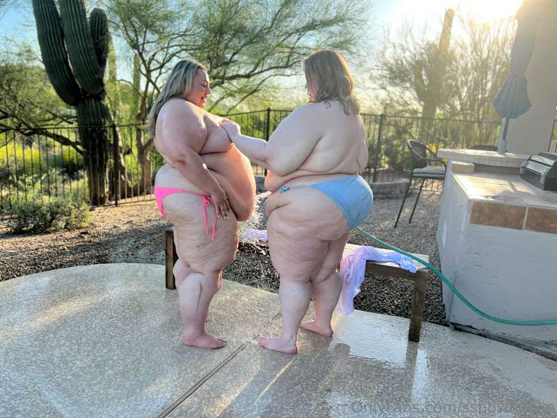 🐖 Hosing down the hogs! 🐷 

It’s *so hot* in Arizona! @lisal.. 10