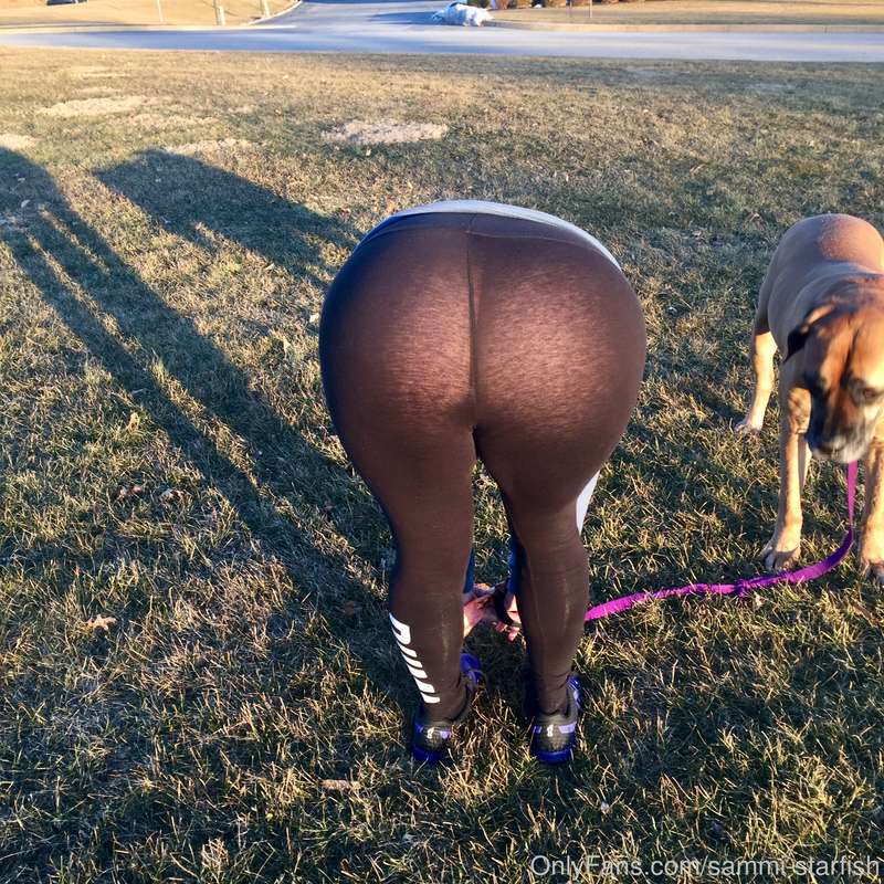 Taking the dog for a walk in the park 😉 9