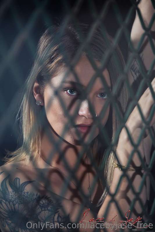 Free Set. 30 Images. 3