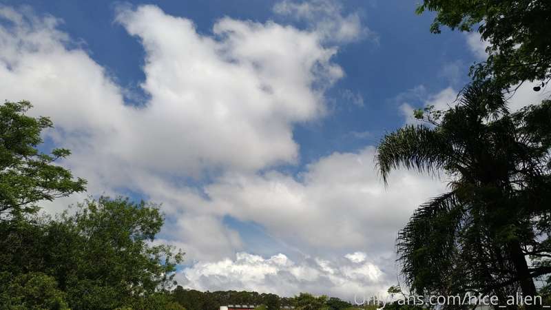 Mixed clouds 1