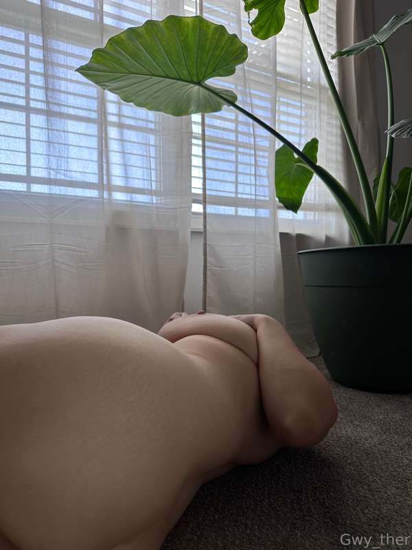 Gwy_Ther - Onlyfans - 24 Aug, 2024 5