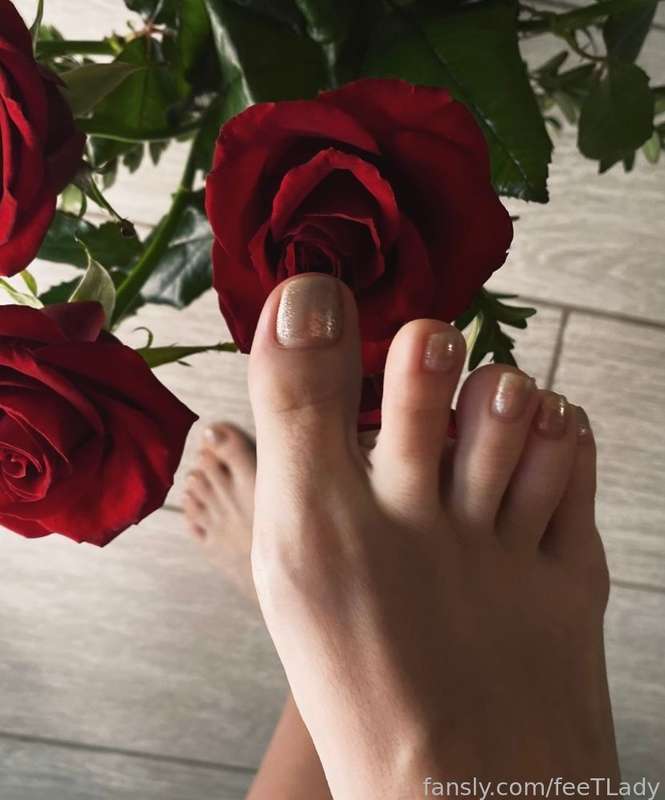 Feetlady - Fansly - 14 Feb, 2023 4