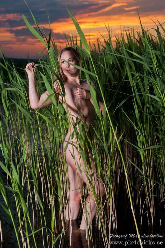 Hiding naked in the tall grass