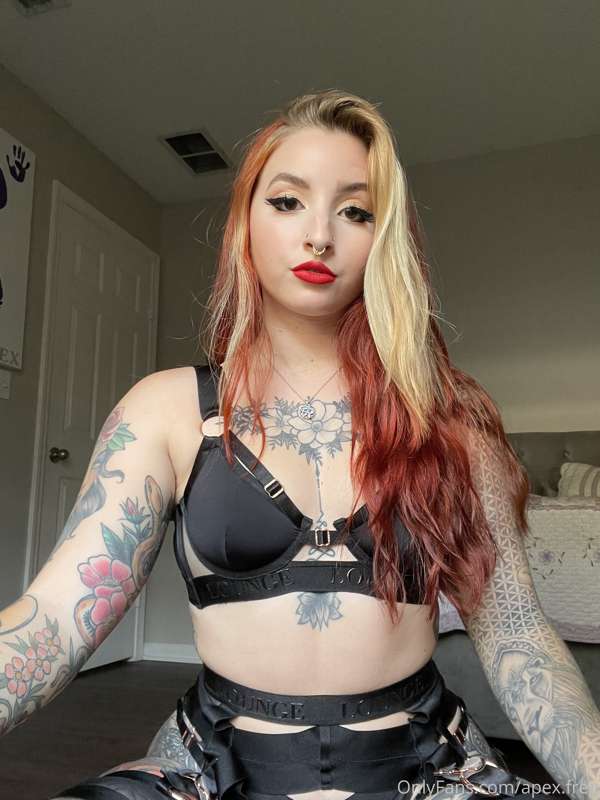 Apex.Free - Onlyfans - 12 Nov, 2021 5