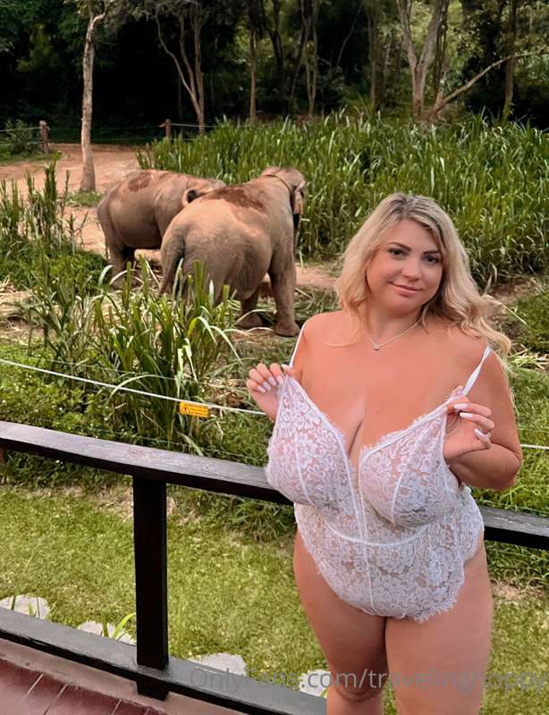 The elephants couldn’t care less 😆 1