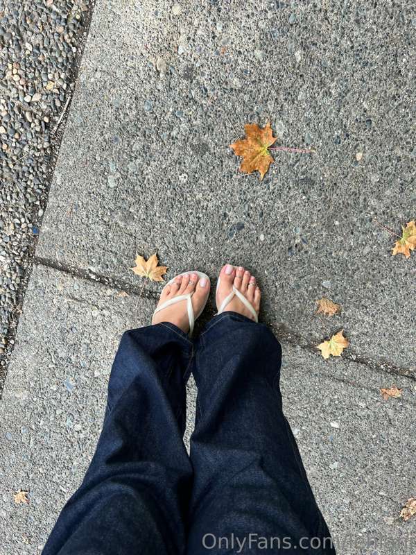 Leaves are starting to fall and it makes me a little sad 🥹 b.. 2