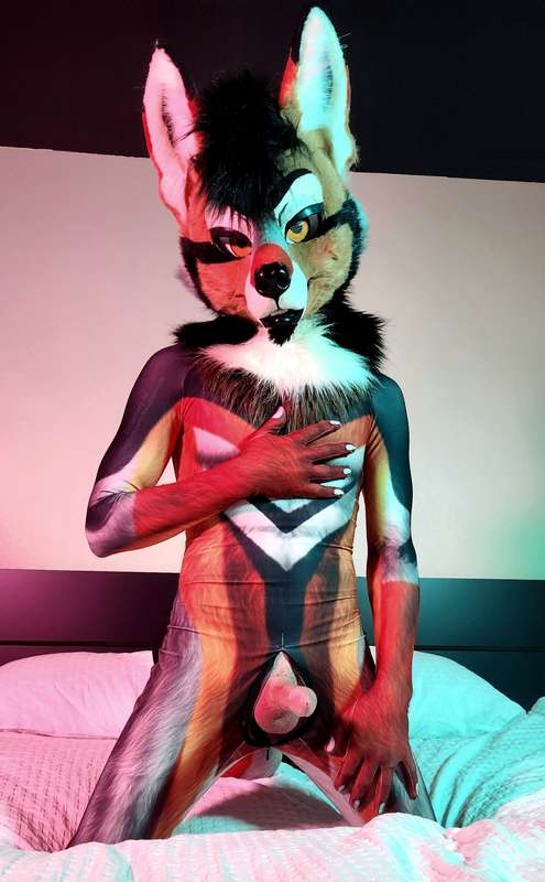 Be careful, Rogue might bite 🐶😬 1