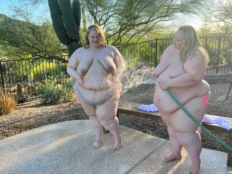 🐖 Hosing down the hogs! 🐷 

It’s *so hot* in Arizona! @lisal.. 17