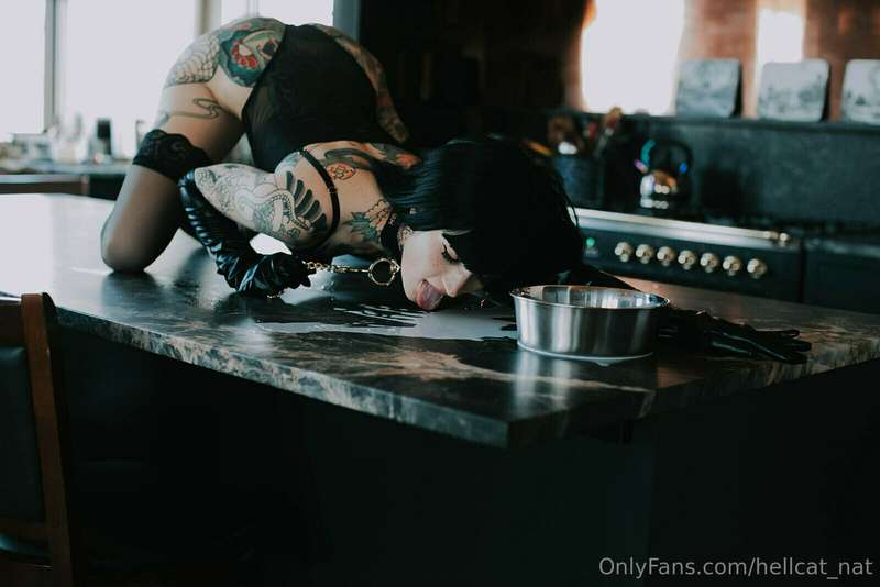 Dont Cry Over Spilled Milk 🐮 9