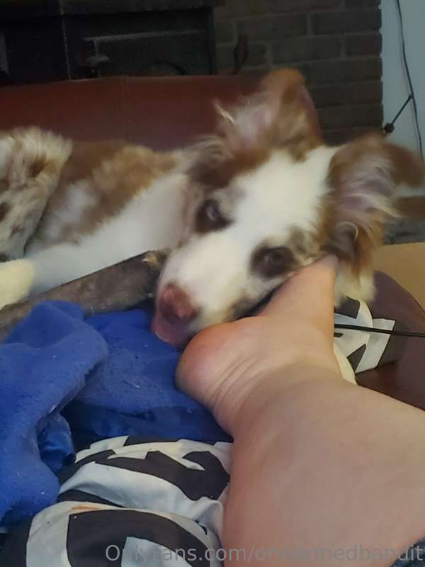 You wish your face was that close to My foot