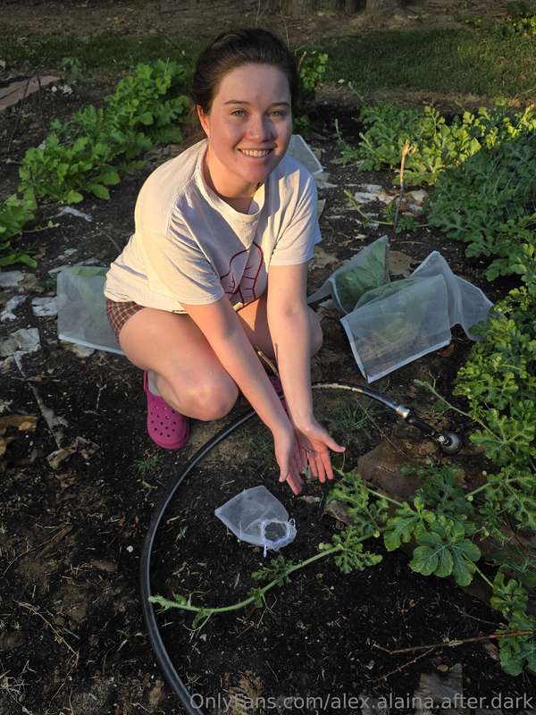 We've got an absolute overload of homegrown tomatoes right n..