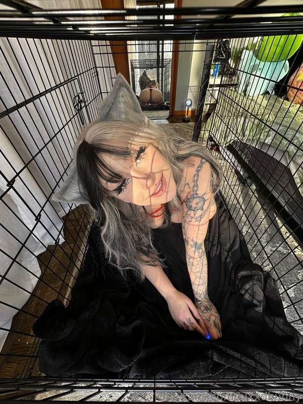 Blxxdbunny - Onlyfans - 22 Jan, 2025 1