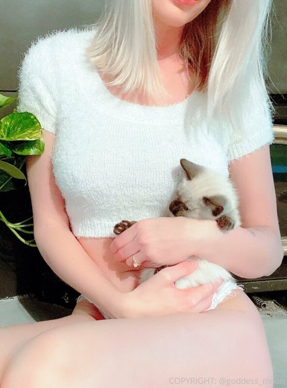 Guys I can’t get my new kitten to stay out of the shot so I’.. 3