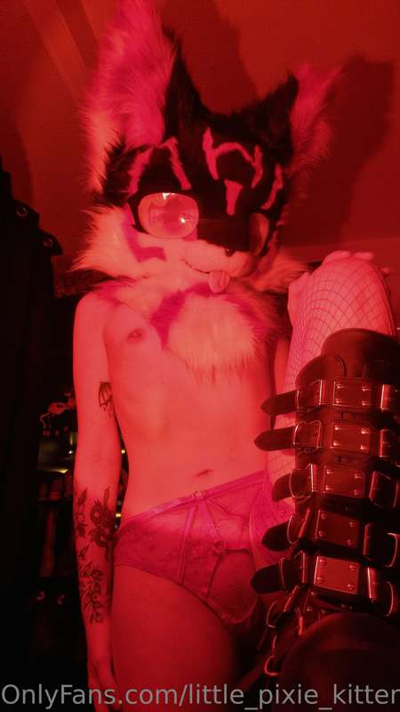 Some more furry pics 🐾 2