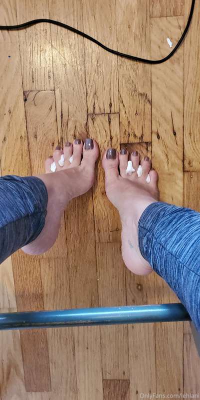 New colour ! 🐘 3