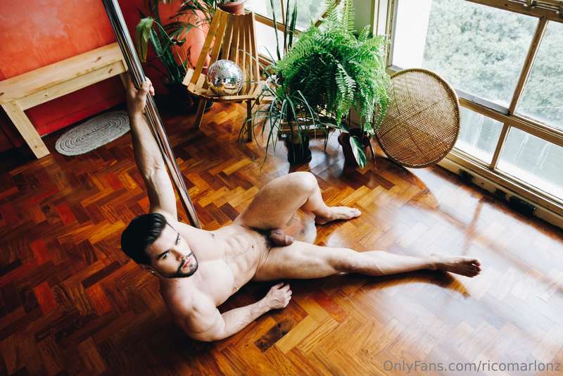 Part 2 - Jungle Studio 33