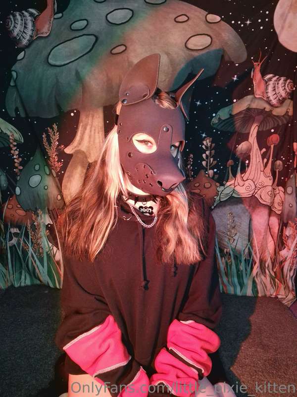 New pup hood from grunge bunny ♡ 1