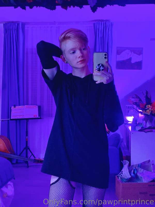 Pawprintprince - Onlyfans - 17 Dec, 2022 2