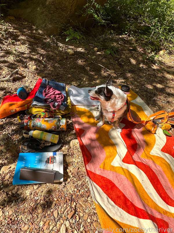 Zoebytheriver - Fansly - 17 Aug, 2023
