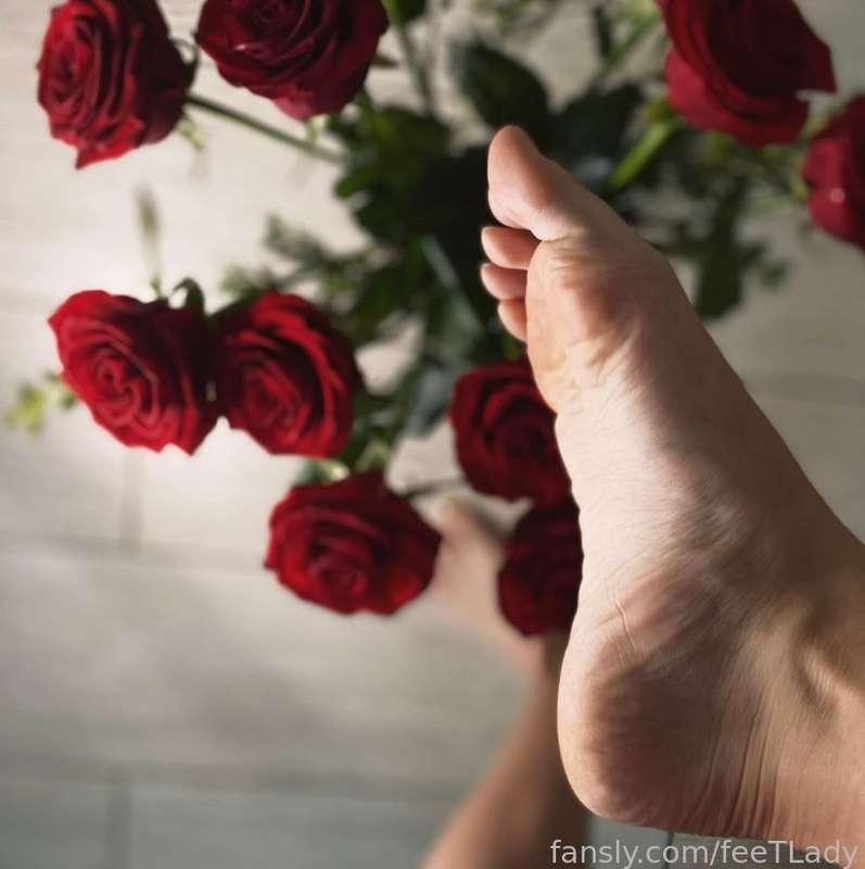 Feetlady - Fansly - 14 Feb, 2023 3