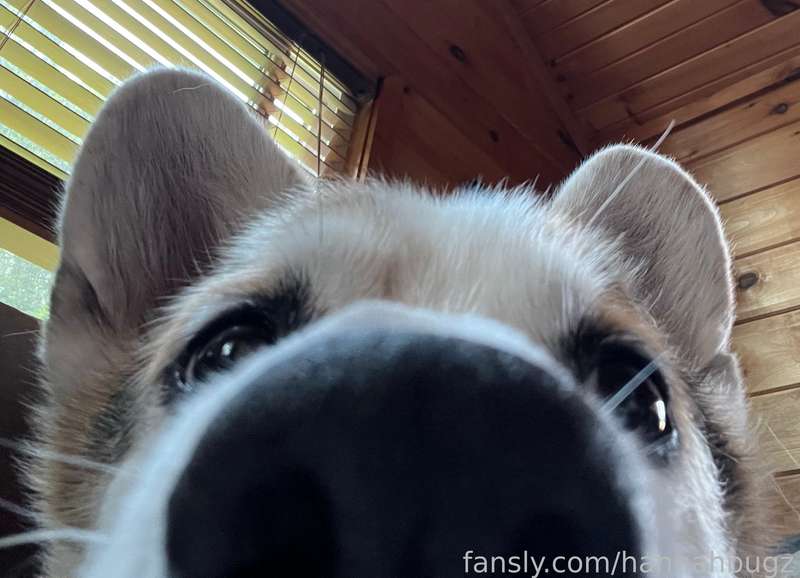 Hannahbugz - Fansly - 03 Sep, 2023 1