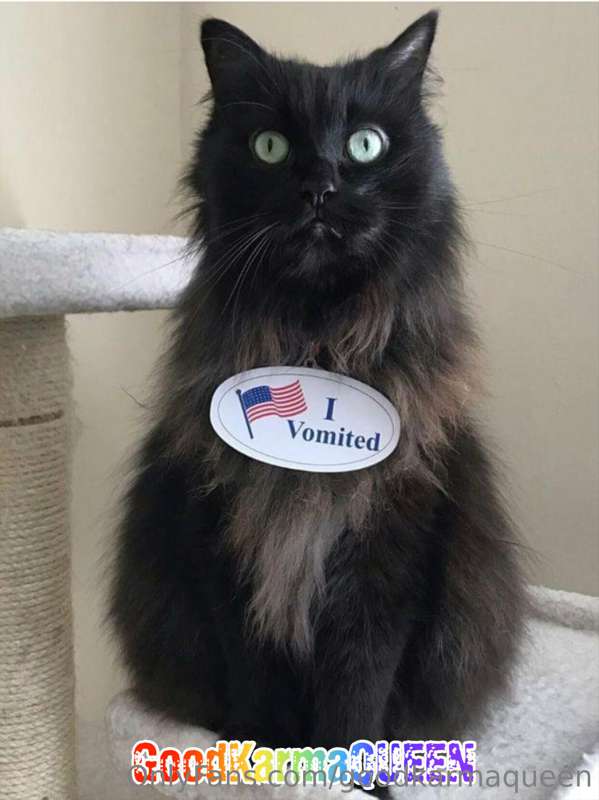 YUP.  The California voters definitely make me sick enough t..