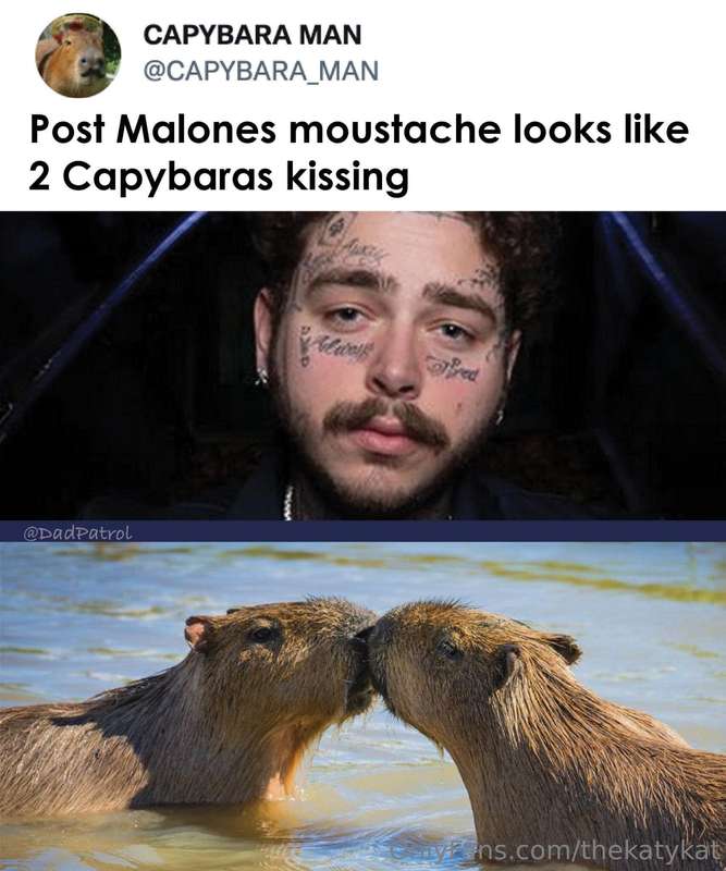 Meme of the Day!