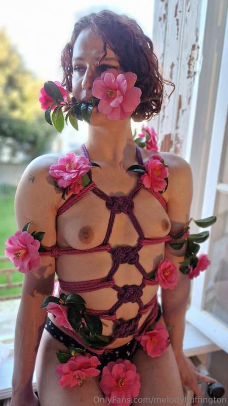 What if this flower grew in your room? 🌺